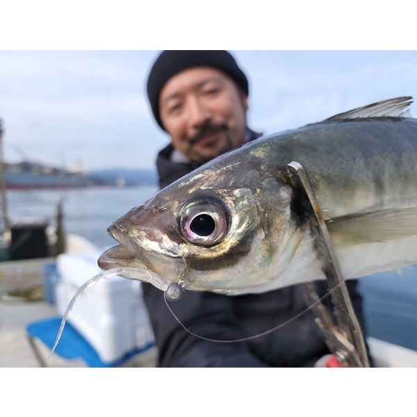 ウェーブテール２